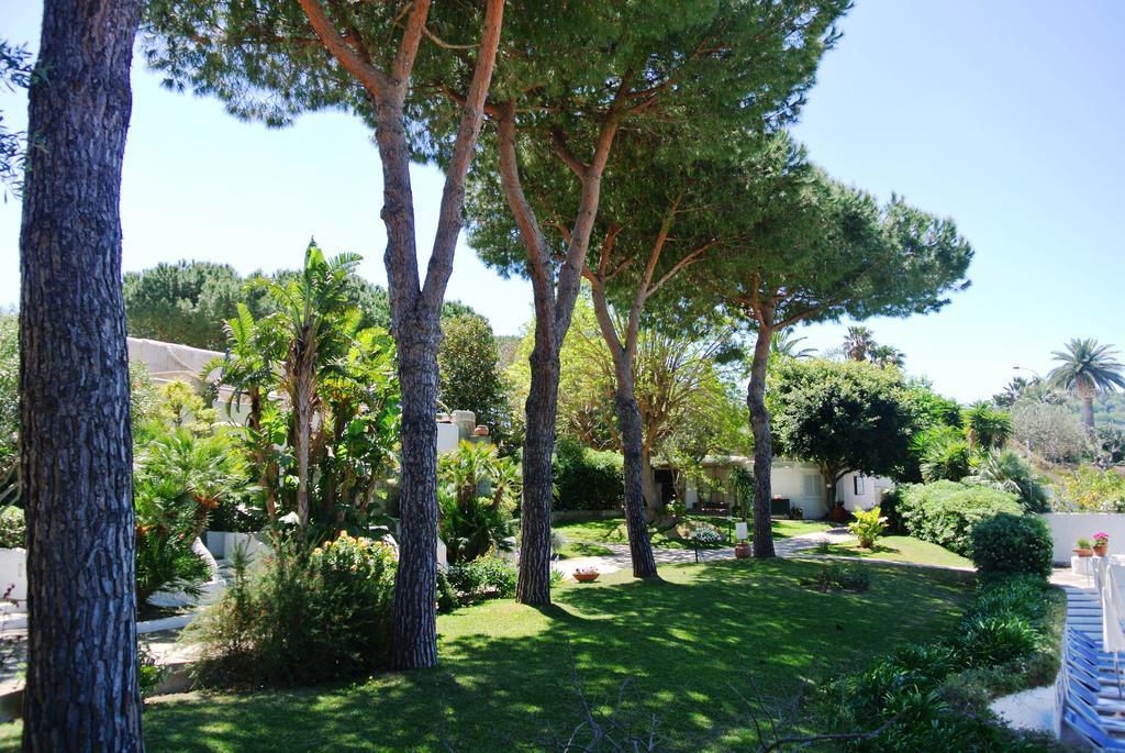 Paradiso Terme Resort & Spa Con 5 Piscine Termali Forio  Luaran gambar